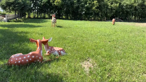 ��̨ɽ��Ĺ����