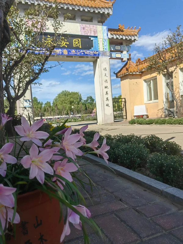 ��̨ɽ��Ĺ����