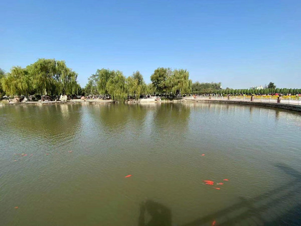 ��̨ɽ��Ĺ����