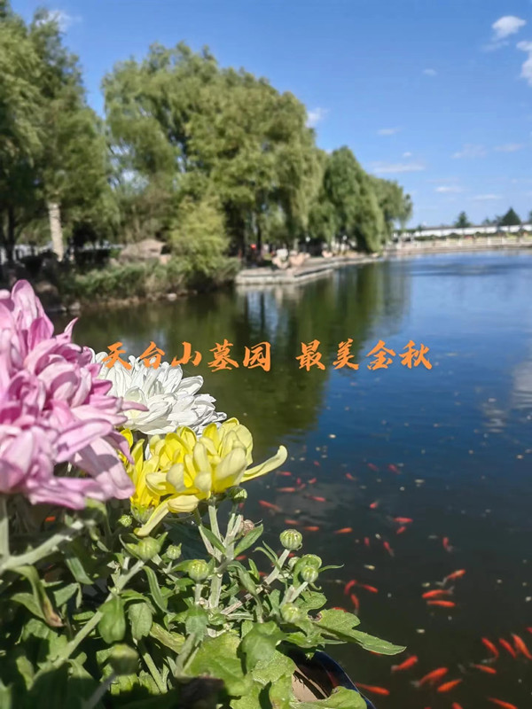 ��̨ɽ��Ĺ����