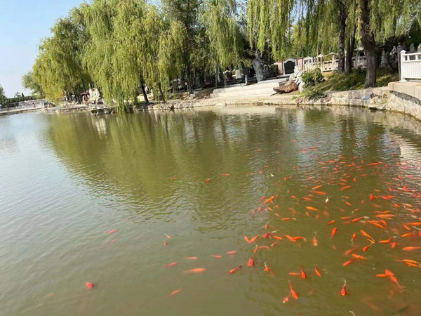 ��̨ɽ��Ĺ����